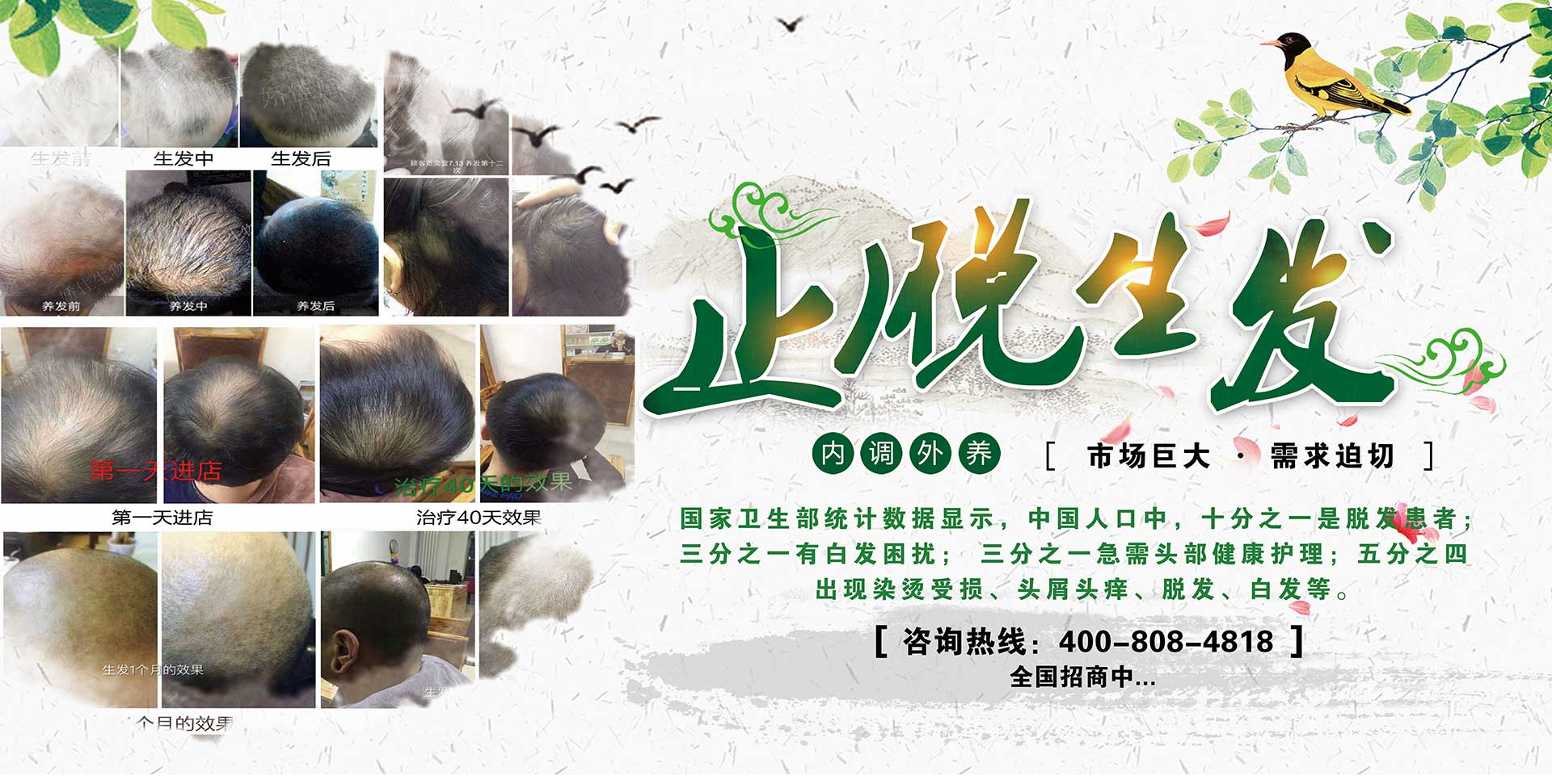 白发转黑发