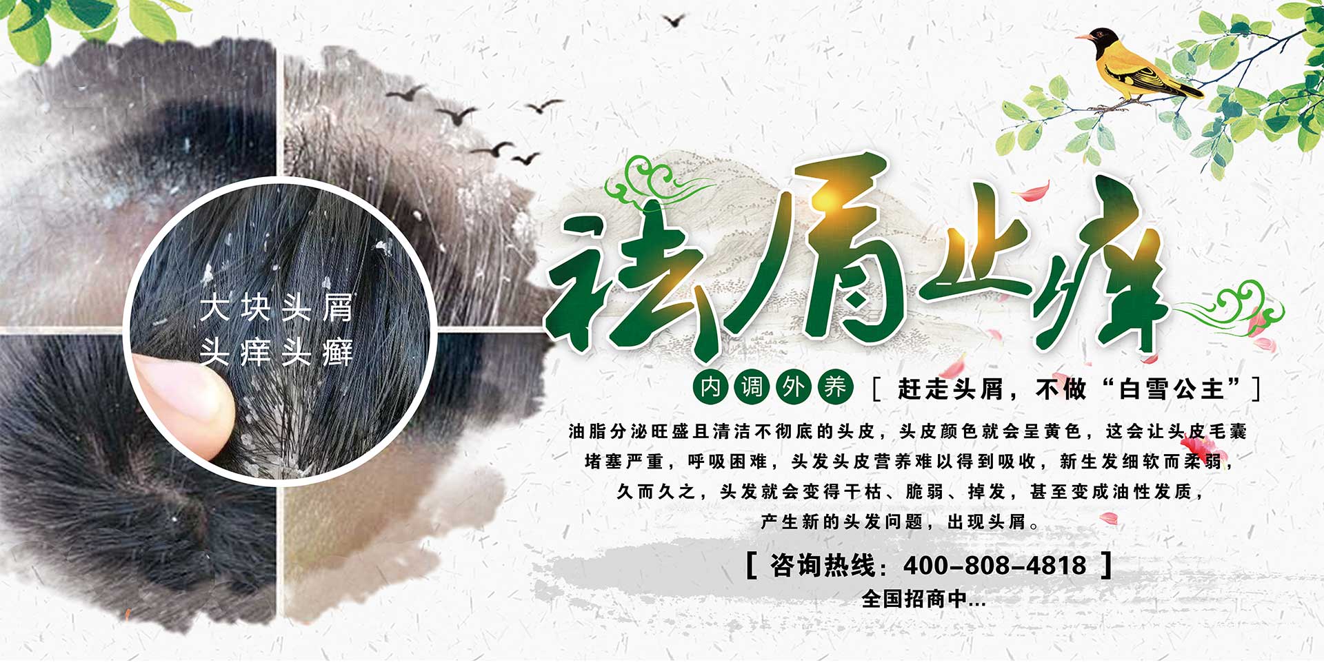 熏蒸泡头
